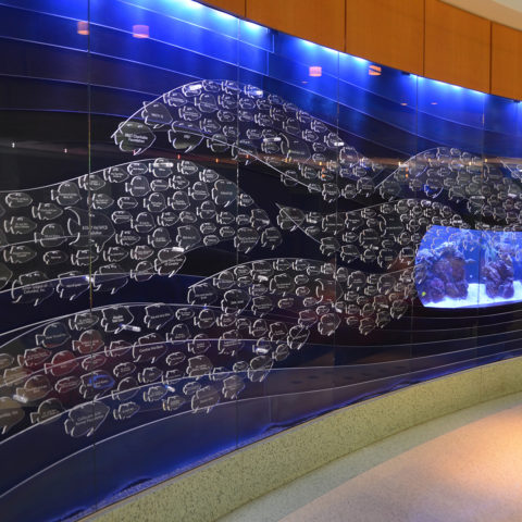 Prisma Health Children’s Hospital